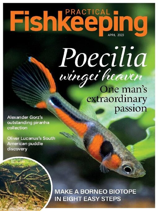 Practical fishkeeping on sale